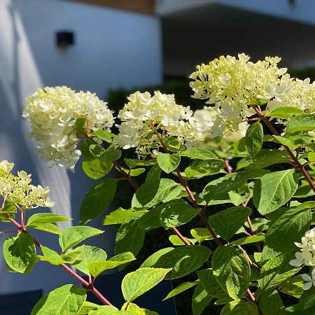戴布莱博公寓 塞巴特黑灵斯多夫 外观 照片