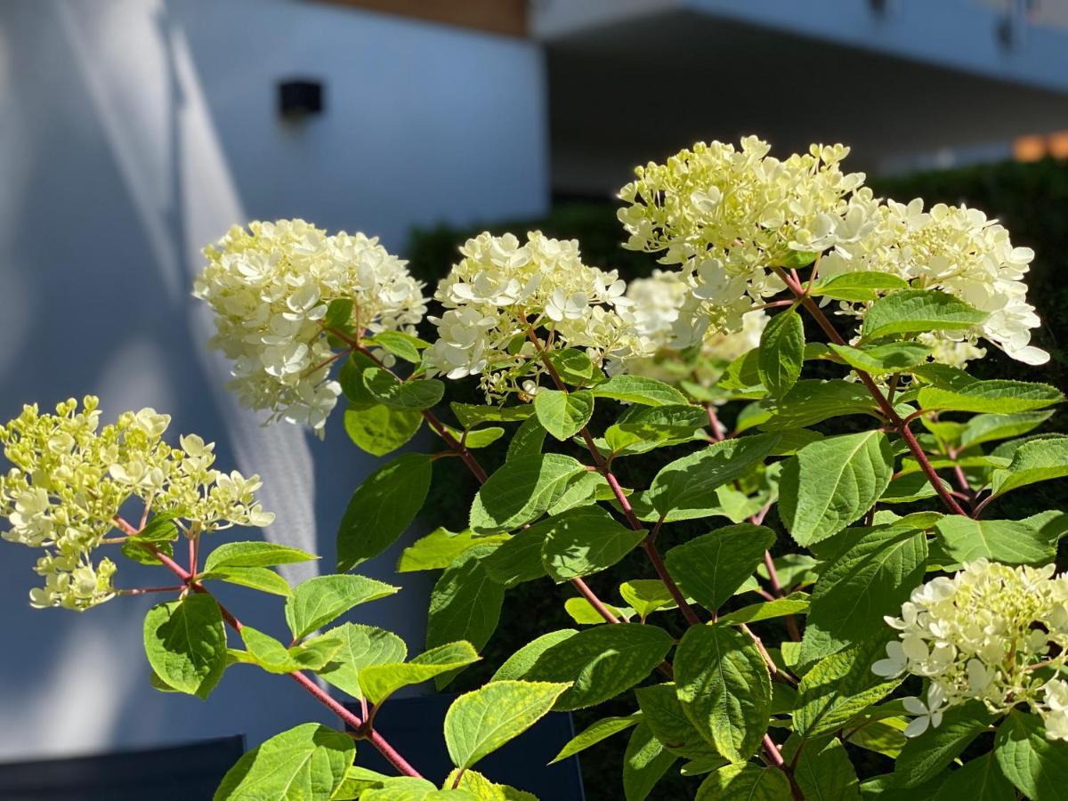 戴布莱博公寓 塞巴特黑灵斯多夫 外观 照片